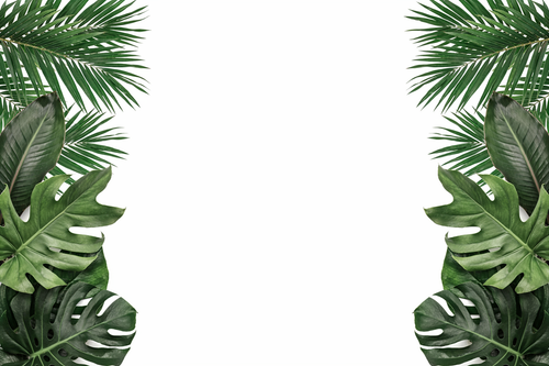 3b86c4323c67.png