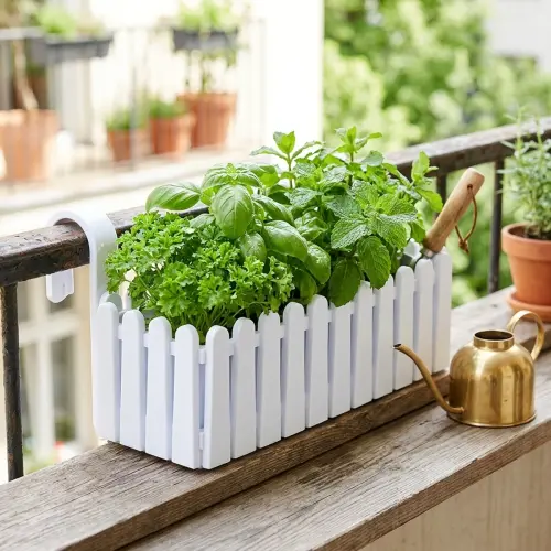 istanbul balkon saksi 04 lifestyle yesillik.webp
