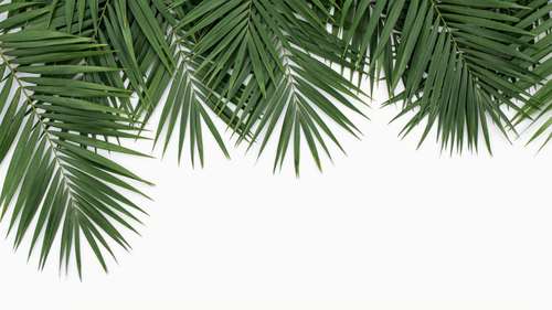 d88a7278ca14.png