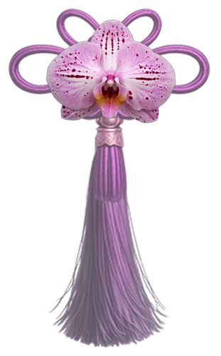 蝴蝶兰.png