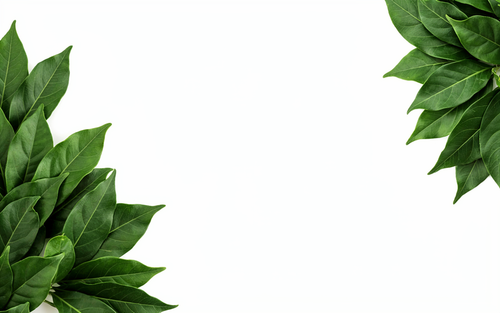 cb859ba430a9.png