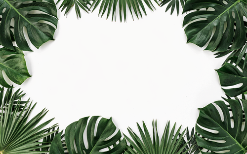 f0f8c63cd9bc.png