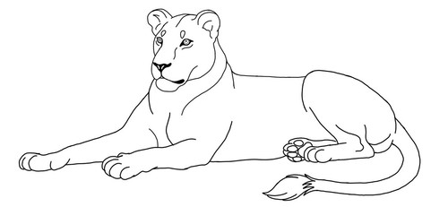 sketch1784960512078.1