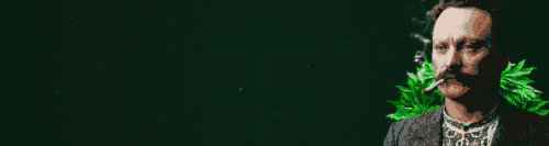 fo banner green 32c.gif