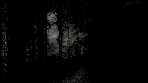 bg.png