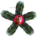 1f926c24ca51.png