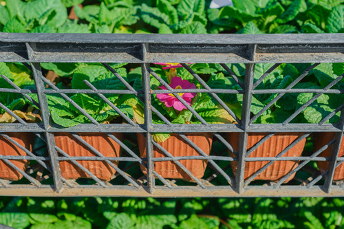 Custom Metal Garden Gates in Calgary | Elegant & Durable Designs.jpg