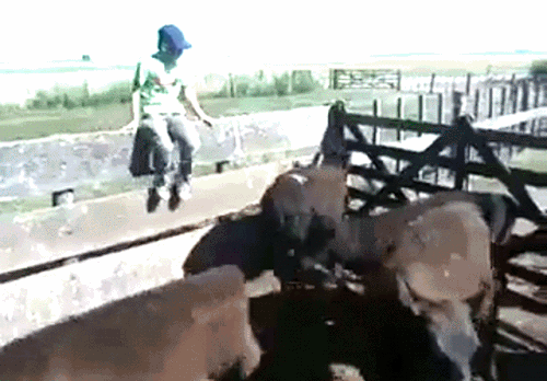 daily gifdump 3301 01.gif