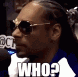 IMG 4553.gif