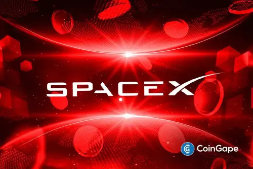 Is SpaceX Stock Overvalued.webp