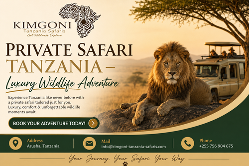 Private Safari Tanzania – Luxury Wildlife Adventure.png