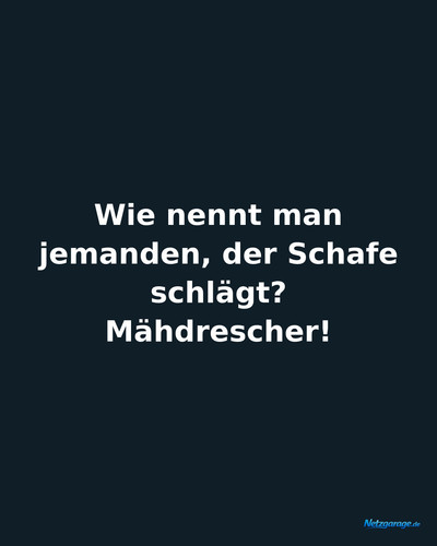wie nennt man jemanden der schafe schl agt m ahdre ig.jpg