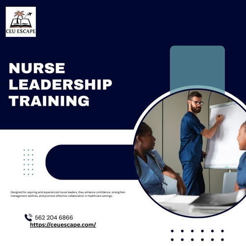 Nurse Leadership Training.jpg