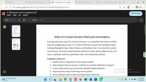 a466946eef72.png