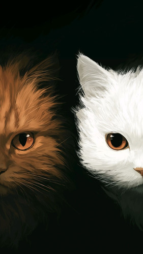 wallpaper.jpg