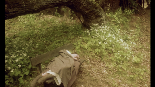 vlcsnap 2026 08 06 10h23m28s203.png