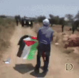 AQOgwGoHXO5 converted.gif