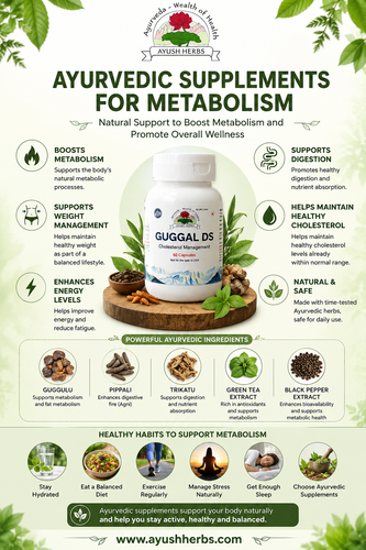 Ayurvedic Supplements for Metabolism Herbal Support for Active Living.png