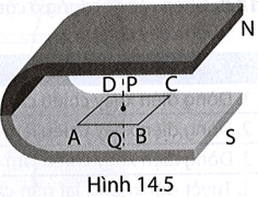 bai 14 20 trang 43 sbt khtn 9.png