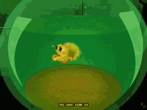 1000005034.gif