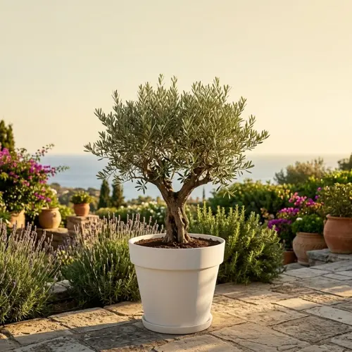 category banner image 2.webp