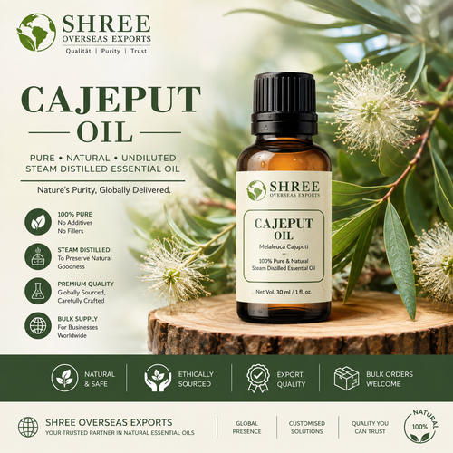 Cajeput Essential Oil Manufacturer – Premium Bulk Supply for Global B2B Buyers.png