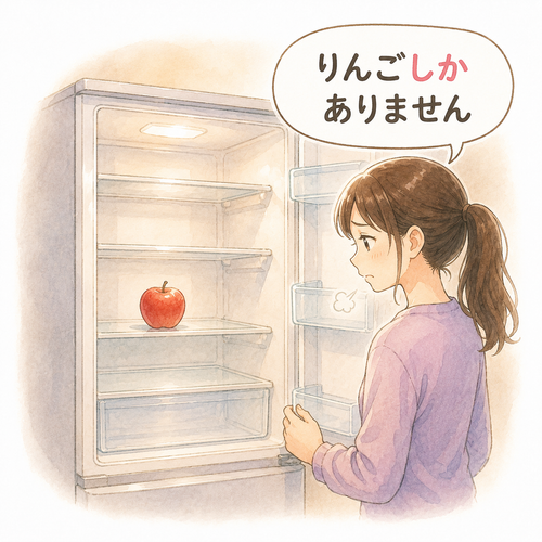 22. ～しか — hanya ～, digunakan bersama bentuk negatif.png