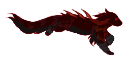 IMG 2673.png