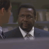 IMG 4590.gif