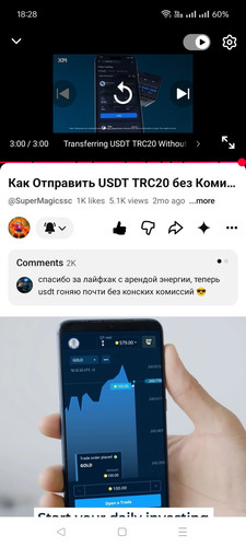 1000107961.jpg