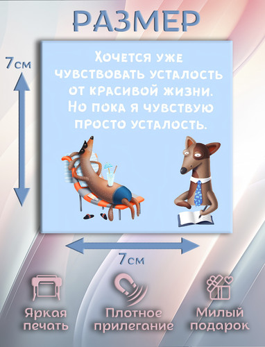 5 1.jpg
