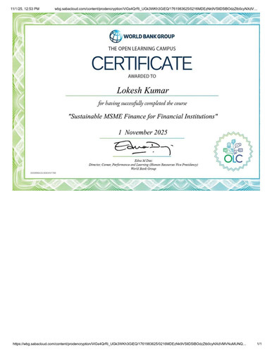 Lokesh Kumar WorldBank MSME Finance.pdf