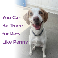 Penny Delivery image 200x200.jpg