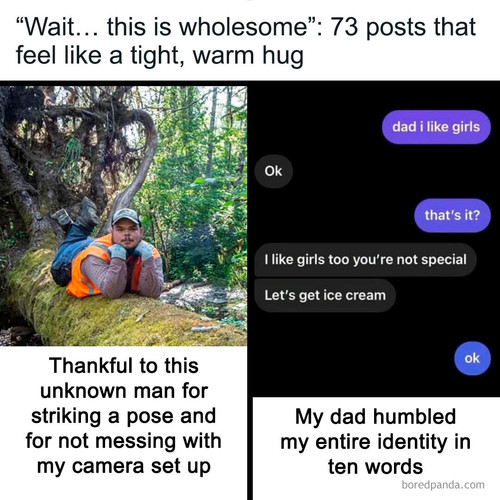 curiosities wholesome world.jpg