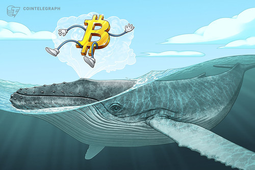 article covers 34555 analysts laugh off recent one whale theory of btcs 2017 bull run.jpg