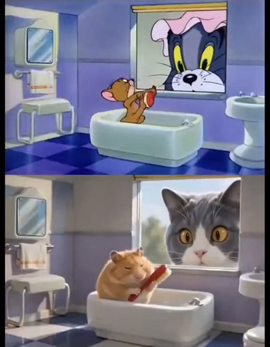 1000445622.jpg
