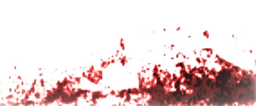 74dbcdffbc23.jpg