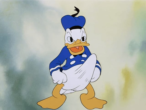 np7AiI0h t.jpg