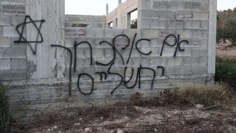صورة الخبر