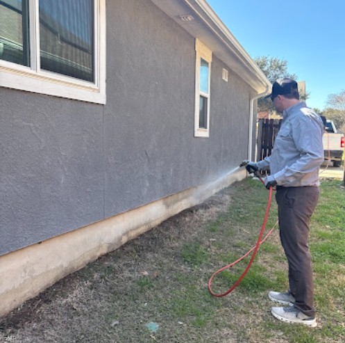 Best service for Scorpion Pest Control in Sun Gate.jpg