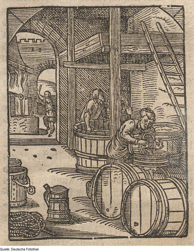 03 brauer 1641.jpg