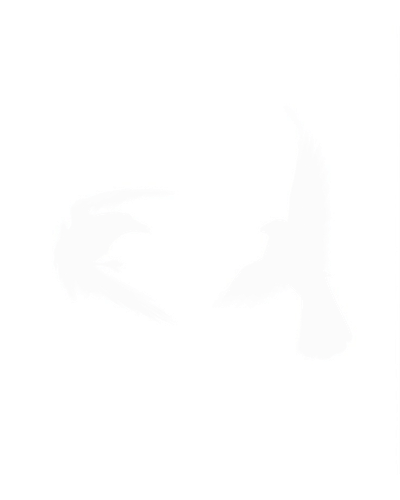 1000119696.png