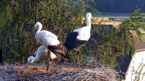 MWSnap075.jpg