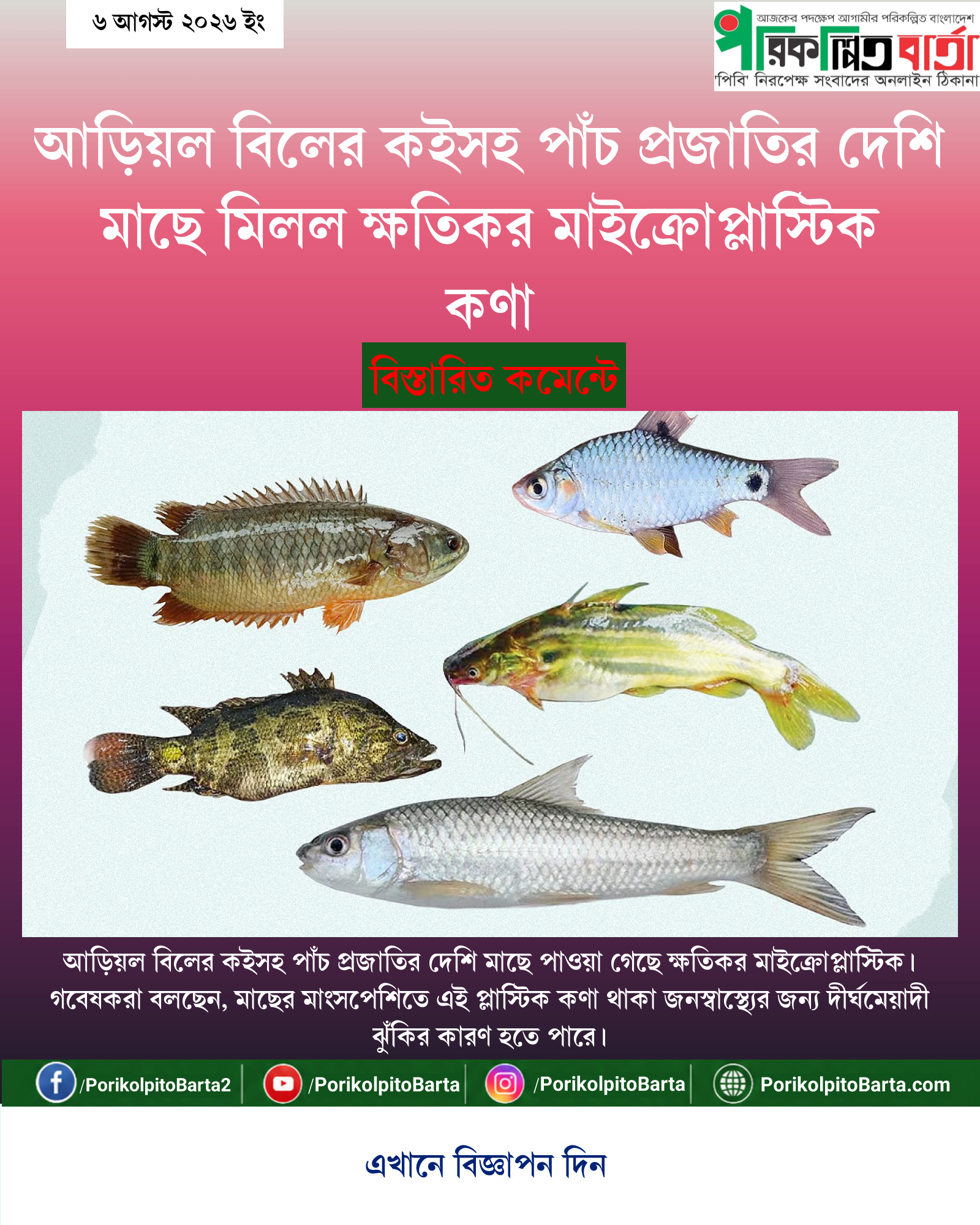 আড়িয়ল বিলের কইসহ পাঁচ প্রজাতির দেশি মাছে মিলল ক্ষতিকর মাইক্রোপ্লাস্টিক কণা