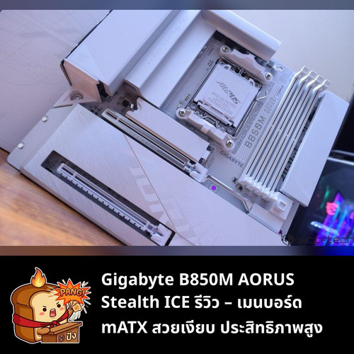 44ecf0ef6936.jpg
