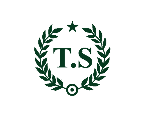 TS Logo.png