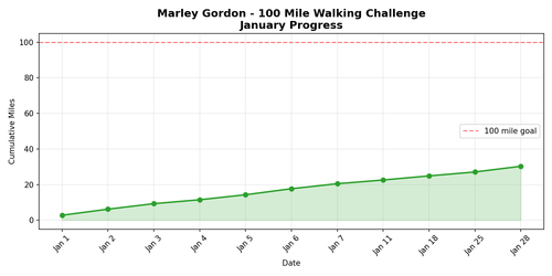 progress chart.png