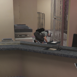 FiveM b3258 GTAProcess hN16QCiM5q.png