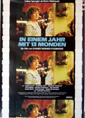 35 in einem jahr mit 13 monden.jpg