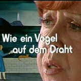 27 wie ein vogel auf dem draht